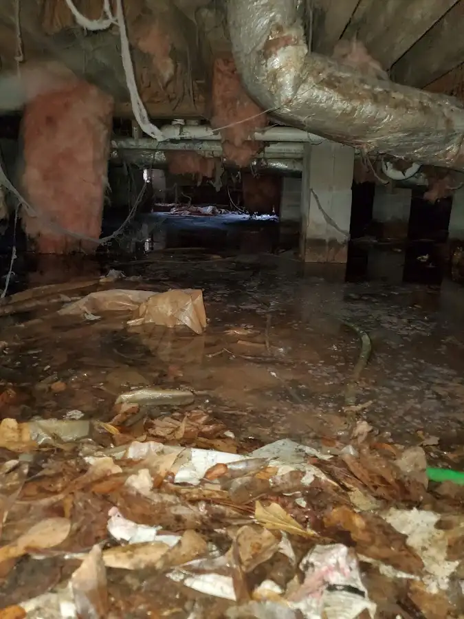 Crawl space flood assessment for Leak Detection & Repair in Woodbridge