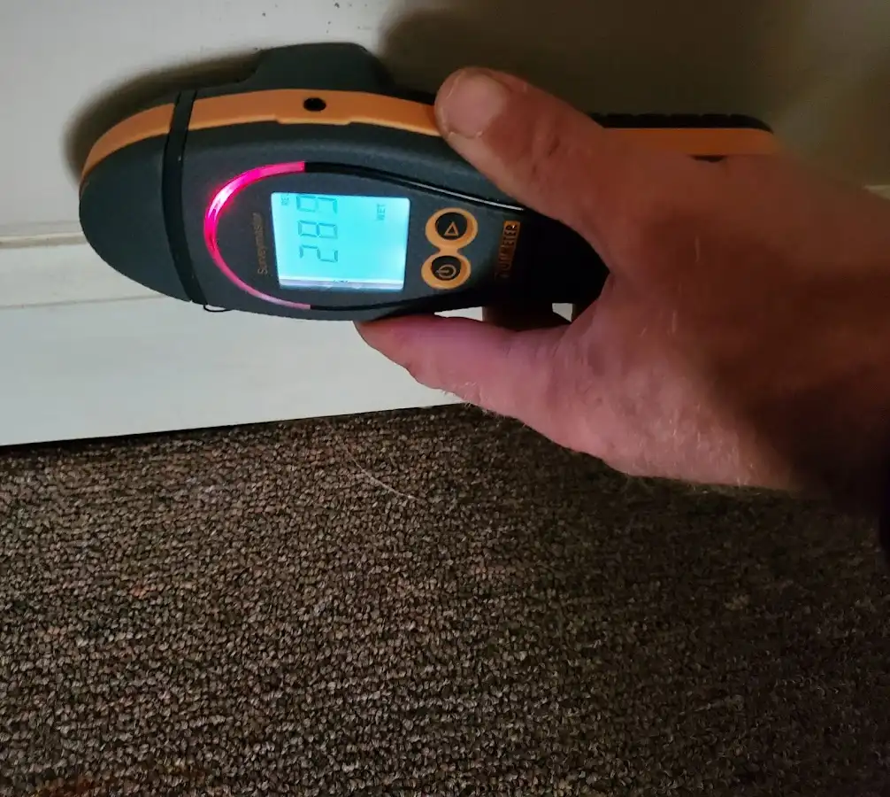 Moisture detection at baseboard during Sewage Cleanup & Sanitation in Woodbridge